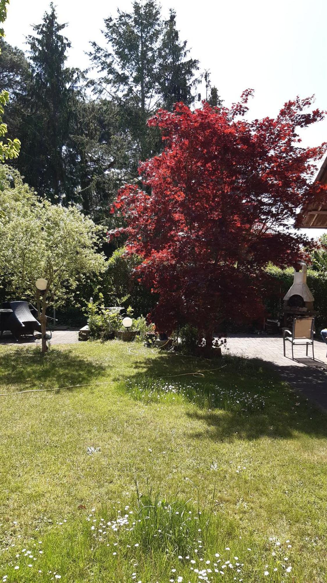 Ferienwohnung Luise, Gemuetlich, Freundlich Und Ganz Nah An Berlin أورانينبورغ المظهر الخارجي الصورة